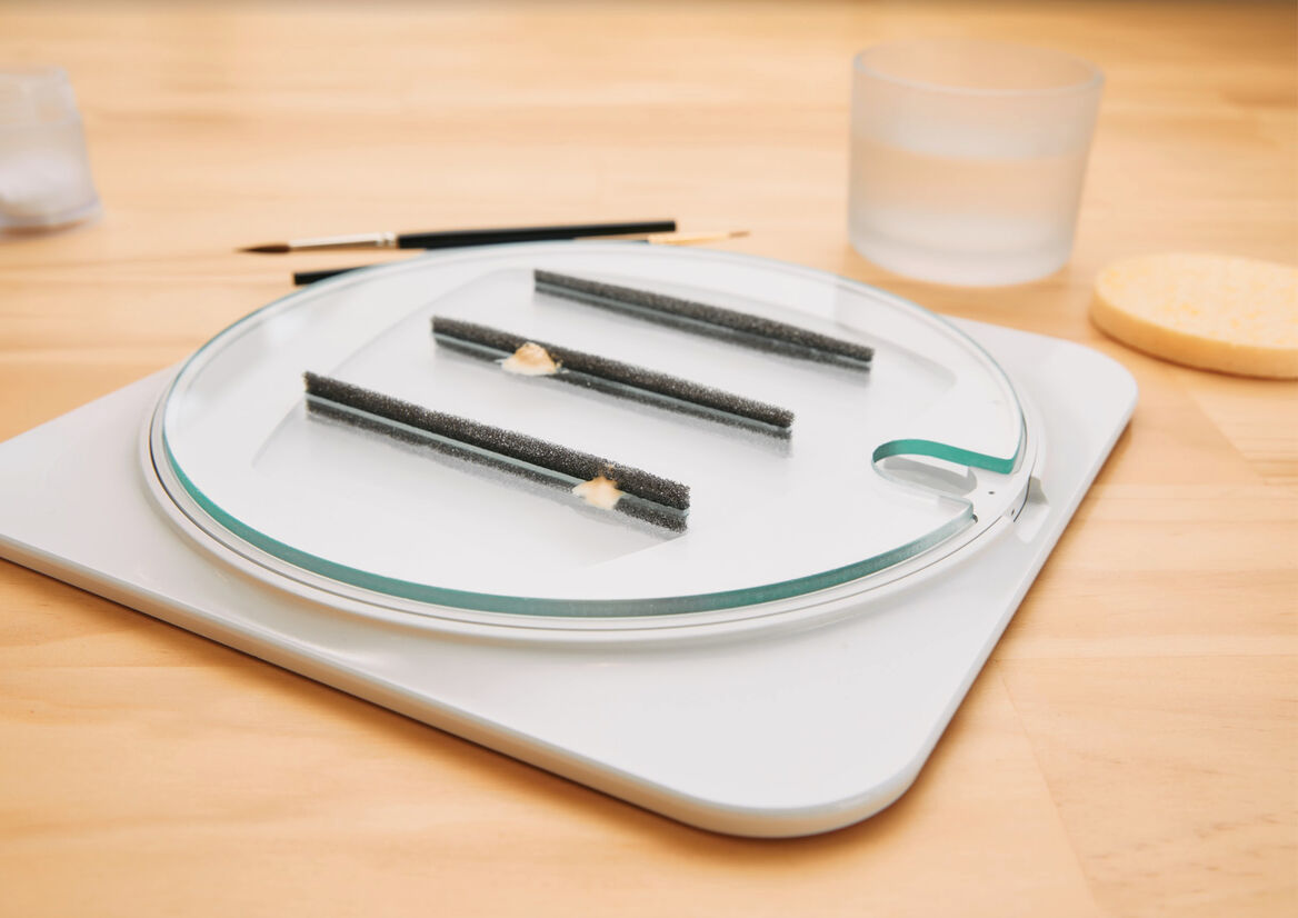 Bite Lab Best Awards